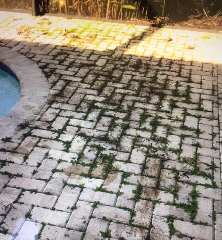 Patio before cleaning